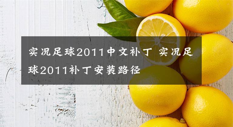 实况足球2011中文补丁 实况足球2011补丁安装路径