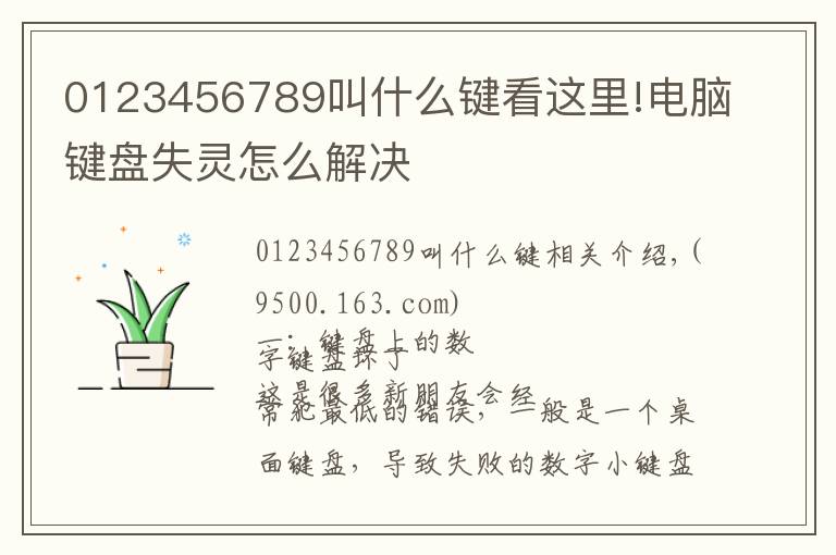 0123456789叫什么键看这里!电脑键盘失灵怎么解决