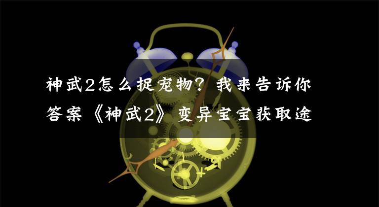 神武2怎么捉宠物？我来告诉你答案《神武2》变异宝宝获取途径 看脸的时刻