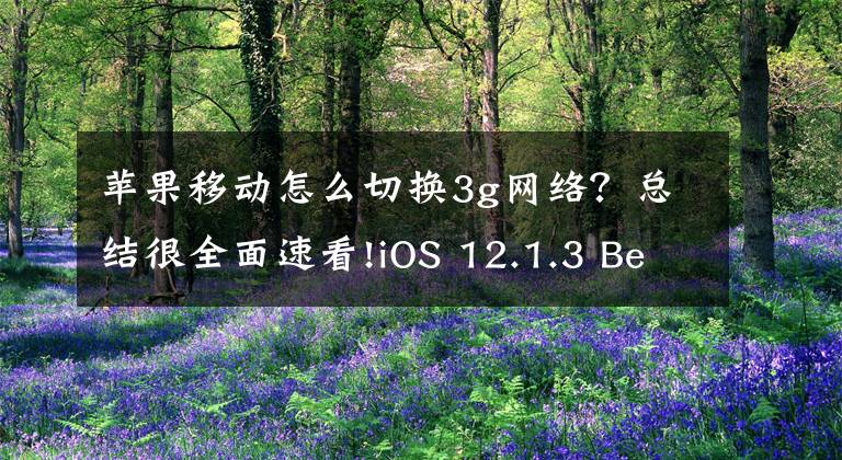 苹果移动怎么切换3g网络？总结很全面速看!iOS 12.1.3 Beta 已解决 iPhone XS/XS Max/XR 4G 变 3G 问题！
