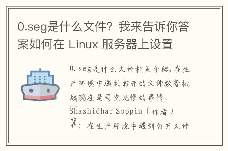 0.seg是什么文件？我来告诉你答案如何在 Linux 服务器上设置 ulimit 和文件描述符数限制