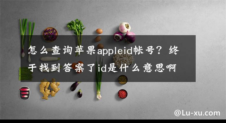 怎么查询苹果appleid帐号？终于找到答案了id是什么意思啊？全面认识和使用苹果ID