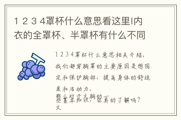 1 2 3 4罩杯什么意思看这里!内衣的全罩杯、半罩杯有什么不同？这些你都知道吗？