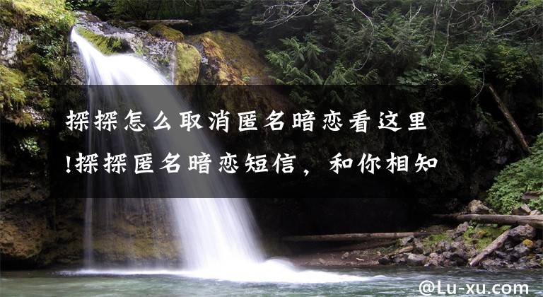 探探怎么取消匿名暗恋看这里!探探匿名暗恋短信，和你相知再相爱