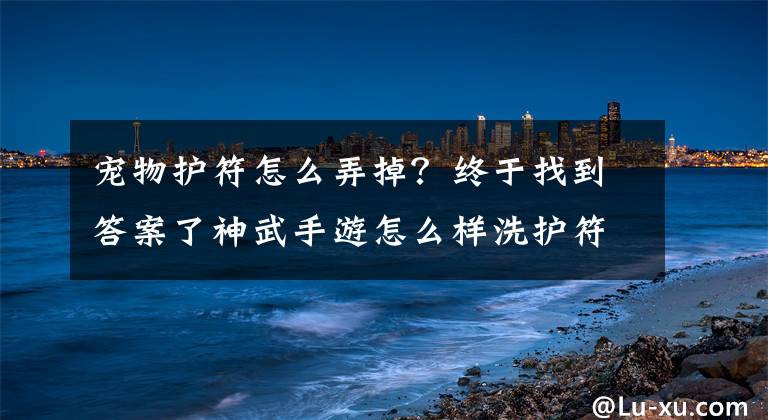 宠物护符怎么弄掉？终于找到答案了神武手游怎么样洗护符 步骤详解攻略