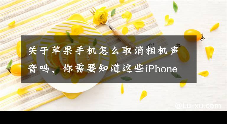 关于苹果手机怎么取消相机声音吗，你需要知道这些iPhone11拍照快门声音怎么关掉？