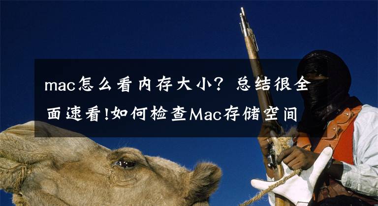 mac怎么看内存大小？总结很全面速看!如何检查Mac存储空间？