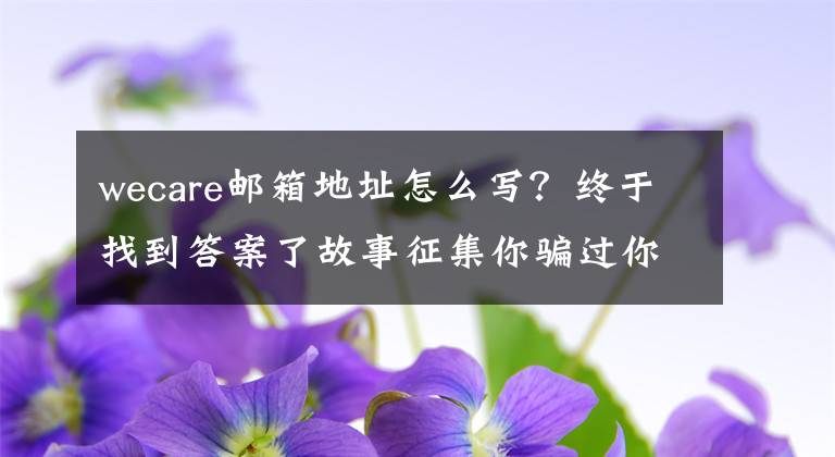 wecare邮箱地址怎么写？终于找到答案了故事征集你骗过你家宠物什么咧？