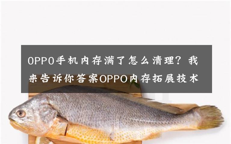 0PP0手机内存满了怎么清理？我来告诉你答案OPPO内存拓展技术曝光：12GB秒变19GB