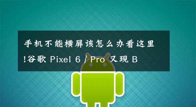 手机不能横屏该怎么办看这里!谷歌 Pixel 6 / Pro 又现 Bug：屏幕自动旋转功能失灵