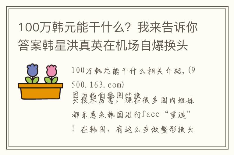 100万韩元能干什么？我来告诉你答案韩星洪真英在机场自爆换头史之后，一年能入账100亿韩元？