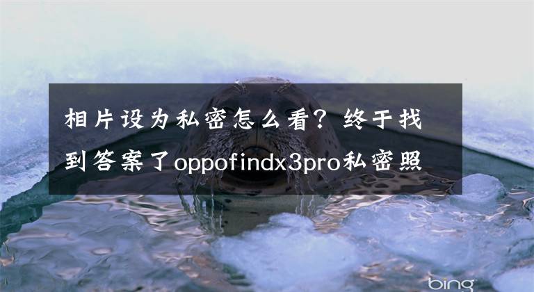 相片设为私密怎么看？终于找到答案了oppofindx3pro私密照片怎么看 oppofindx3pro隐私相册设置教程