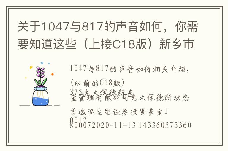 关于1047与817的声音如何，你需要知道这些（上接C18版）新乡市瑞丰新材料股份有限公司 首次公开发行股票并在创业板上市新股发行公告（下转C20版）