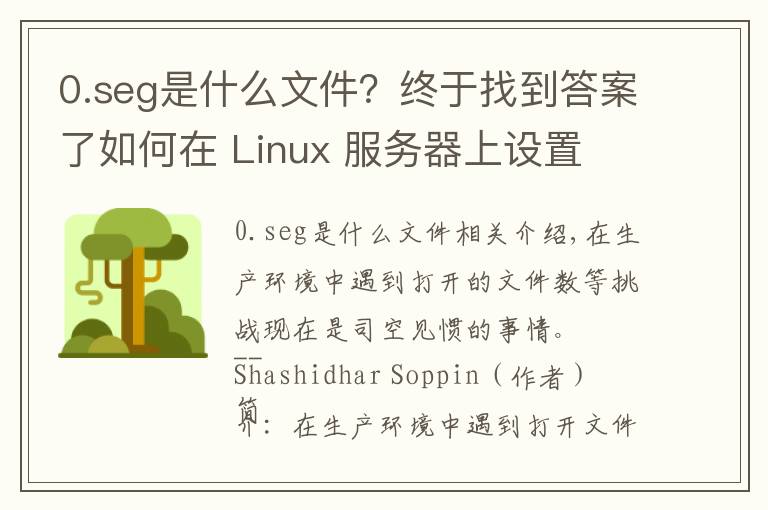 0.seg是什么文件？终于找到答案了如何在 Linux 服务器上设置 ulimit 和文件描述符数限制