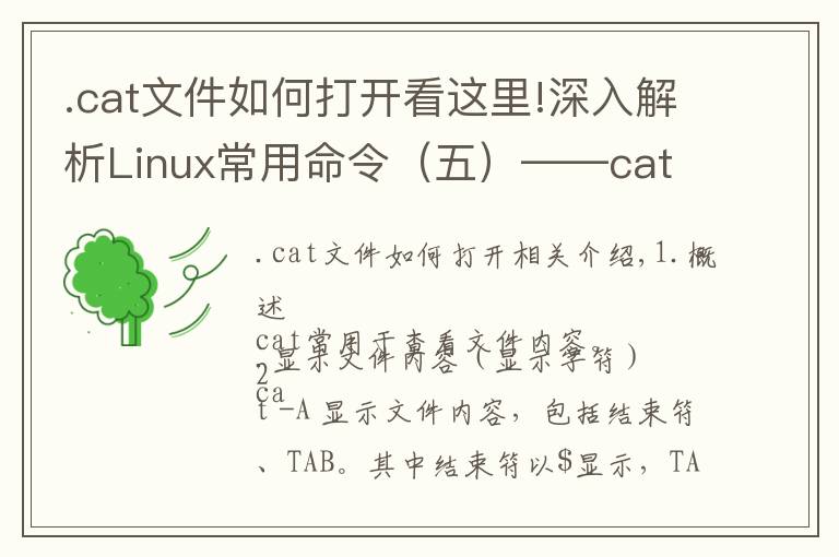 .cat文件如何打开看这里!深入解析Linux常用命令（五）——cat