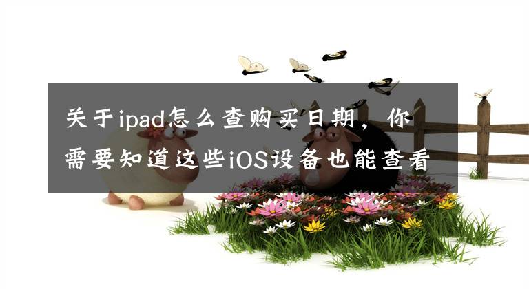 关于ipad怎么查购买日期，你需要知道这些iOS设备也能查看 App Store 的购买历史了