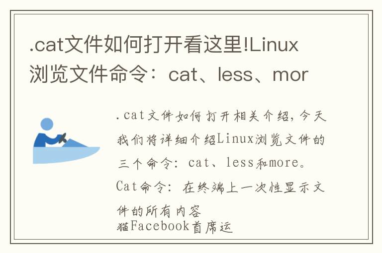 .cat文件如何打开看这里!Linux浏览文件命令：cat、less、more详解