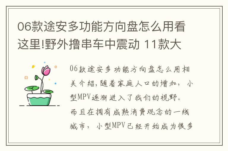 06款途安多功能方向盘怎么用看这里!野外撸串车中震动 11款大众途安无所不能