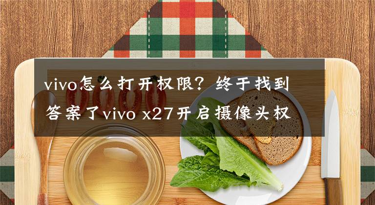 vivo怎么打开权限？终于找到答案了vivo x27开启摄像头权限教程