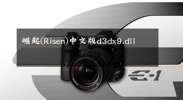 崛起(Risen)中文版d3dx9.dll