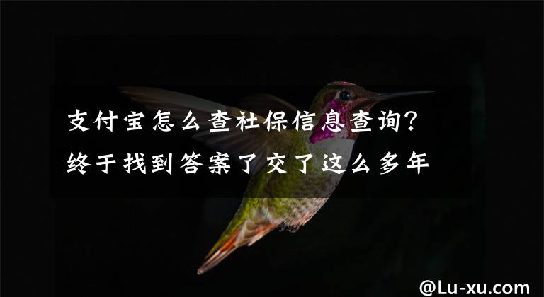 支付宝怎么查社保信息查询？终于找到答案了交了这么多年社保，你知道怎么查社保吗？