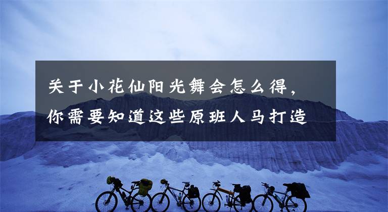 关于小花仙阳光舞会怎么得，你需要知道这些原班人马打造 九年页游《小花仙》手游首曝