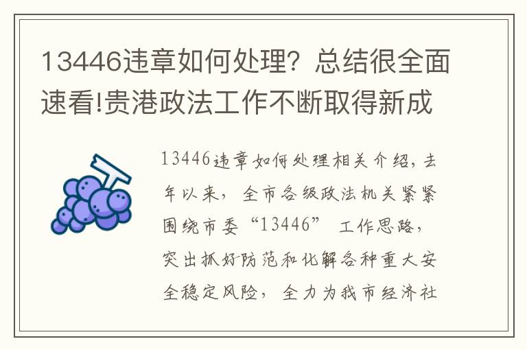 13446违章如何处理？总结很全面速看!贵港政法工作不断取得新成绩