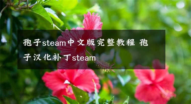 孢子steam中文版完整教程 孢子汉化补丁steam