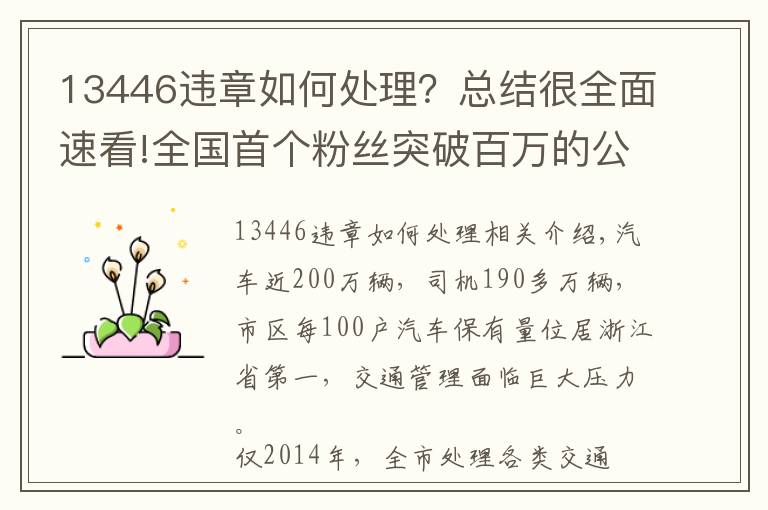 13446违章如何处理？总结很全面速看!全国首个粉丝突破百万的公安政务微信平台，你知道是谁么？