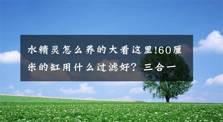 水精灵怎么养的大看这里!60厘米的缸用什么过滤好？三合一还是滴流盒，或者是水精灵呢？