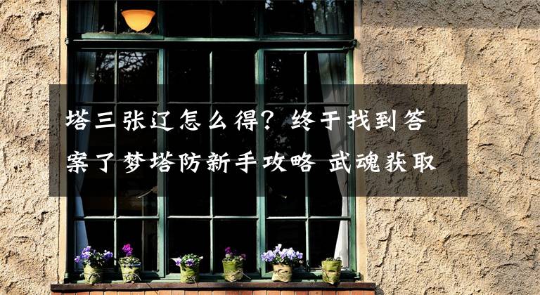 塔三张辽怎么得？终于找到答案了梦塔防新手攻略 武魂获取途径解析