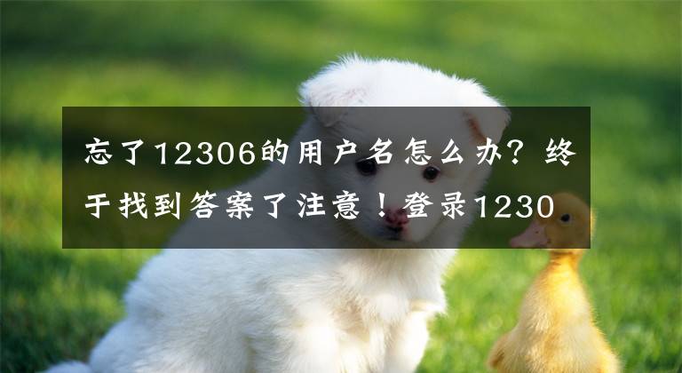 忘了12306的用户名怎么办？终于找到答案了注意！登录12306购票需双向验证 忘记用户名可用手机号登录