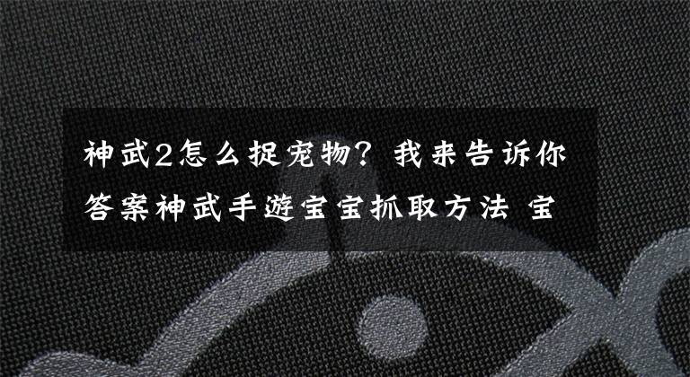 神武2怎么捉宠物？我来告诉你答案神武手游宝宝抓取方法 宝宝获取简介