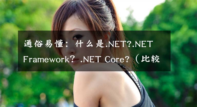 通俗易懂：什么是.NET?.NET Framework？.NET Core?（比较全面）