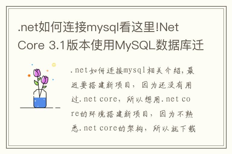 .net如何连接mysql看这里!Net Core 3.1版本使用MySQL数据库迁移启动模板项目
