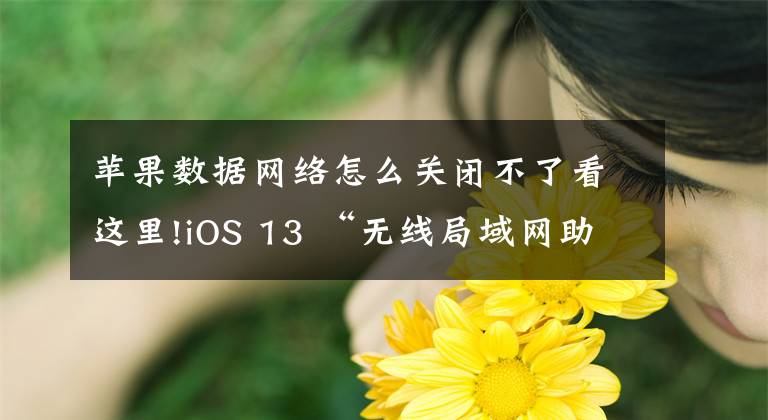 苹果数据网络怎么关闭不了看这里!iOS 13 “无线局域网助理“功能显示灰色无法关闭怎么办？