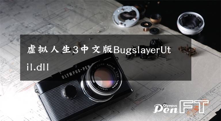 虚拟人生3中文版BugslayerUtil.dll