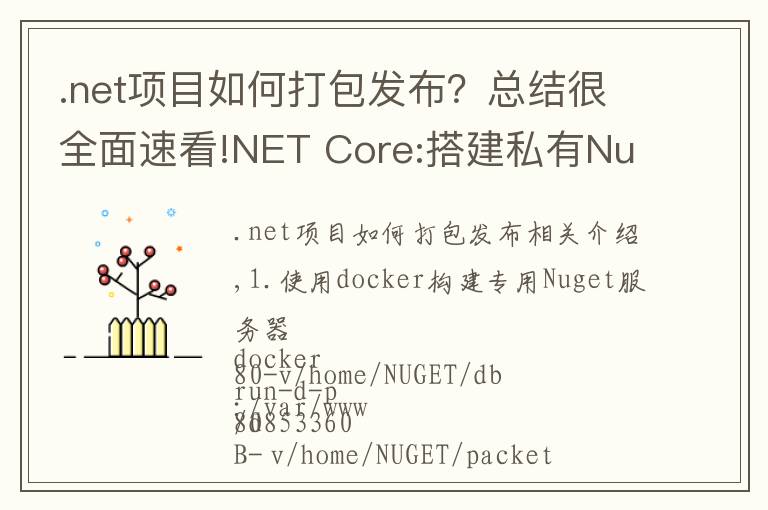 .net项目如何打包发布？总结很全面速看!NET Core:搭建私有Nuget服务器以及打包发布Nuget包