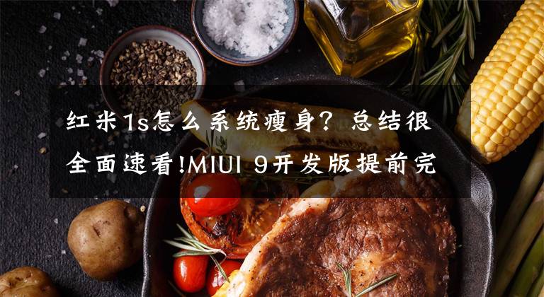 红米1s怎么系统瘦身？总结很全面速看!MIUI 9开发版提前完成适配 赶快升级吧！