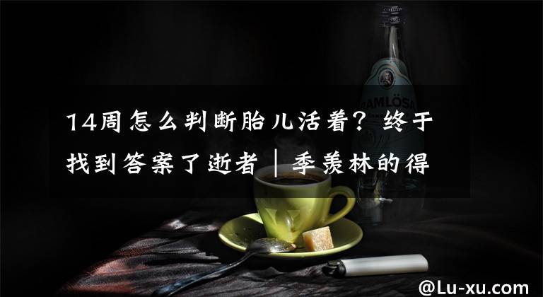 14周怎么判断胎儿活着？终于找到答案了逝者｜季羡林的得意门生段晴，她走后很多“天书”恐无人再懂