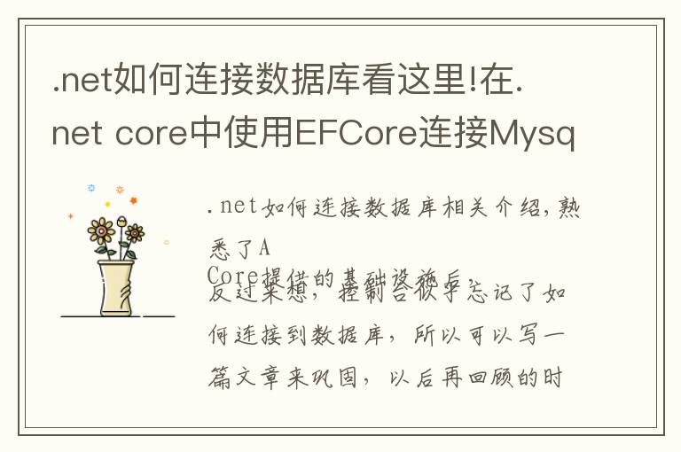 .net如何连接数据库看这里!在.net core中使用EFCore连接Mysql并创建数据表
