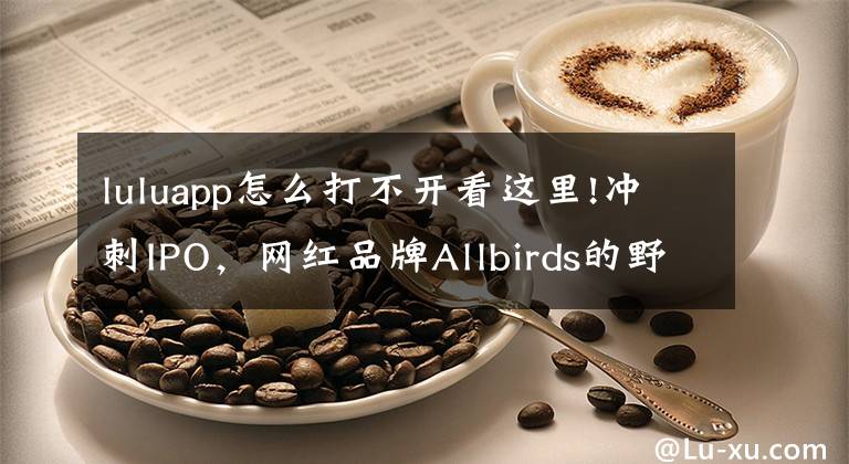 luluapp怎么打不开看这里!冲刺IPO，网红品牌Allbirds的野心与隐忧