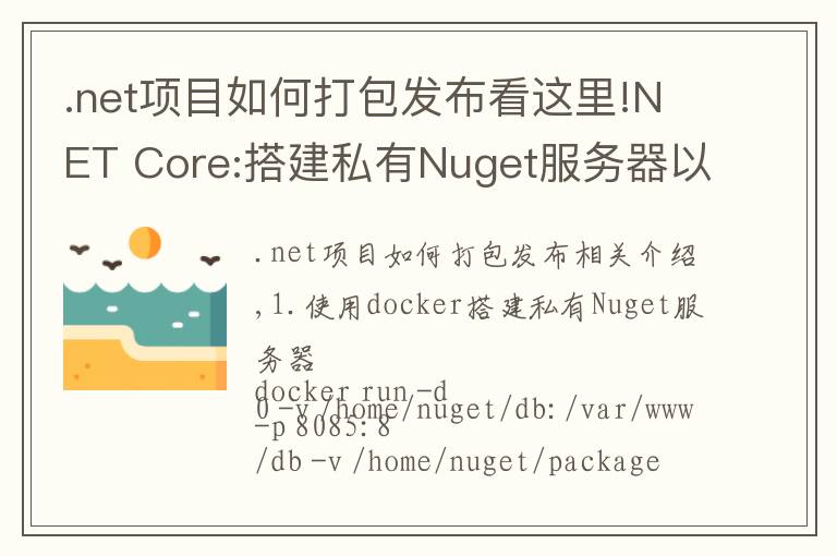 .net项目如何打包发布看这里!NET Core:搭建私有Nuget服务器以及打包发布Nuget包