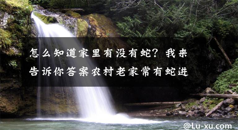 怎么知道家里有没有蛇？我来告诉你答案农村老家常有蛇进，是好事还是坏事？用什么方法可以避免蛇出入？