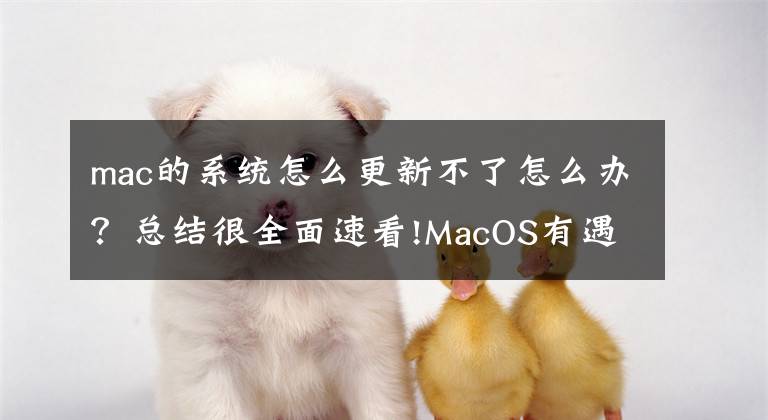 mac的系统怎么更新不了怎么办？总结很全面速看!MacOS有遇到系统升级不了的问题吗？评论区请留言