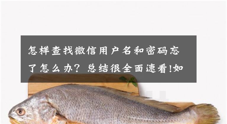 怎样查找微信用户名和密码忘了怎么办？总结很全面速看!如何在1分钟之内了解，4种快速找回微信密码的方法，关注不迷路