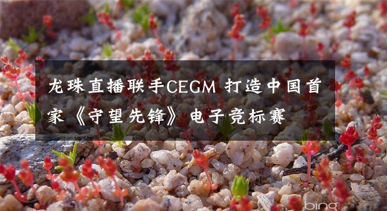 龙珠直播联手CEGM 打造中国首家《守望先锋》电子竞标赛