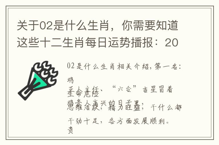 关于02是什么生肖，你需要知道这些十二生肖每日运势播报：2017-02-10-星期五