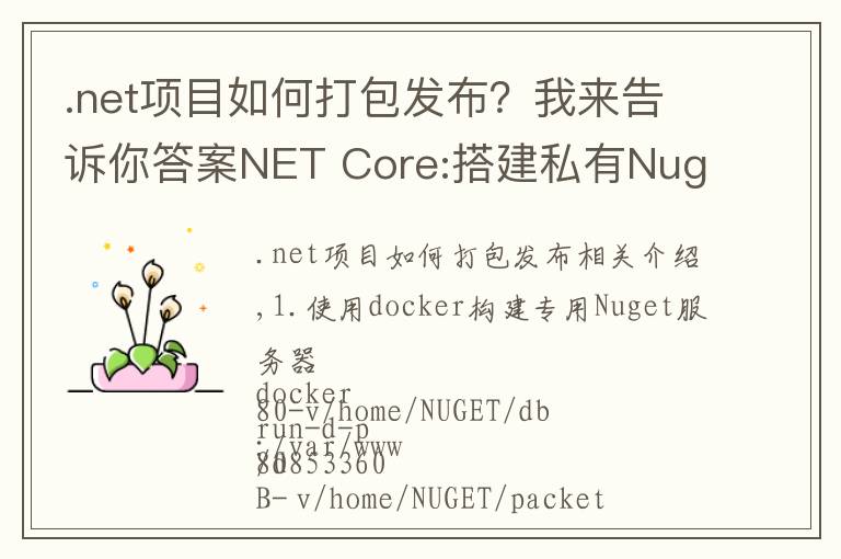 .net项目如何打包发布？我来告诉你答案NET Core:搭建私有Nuget服务器以及打包发布Nuget包