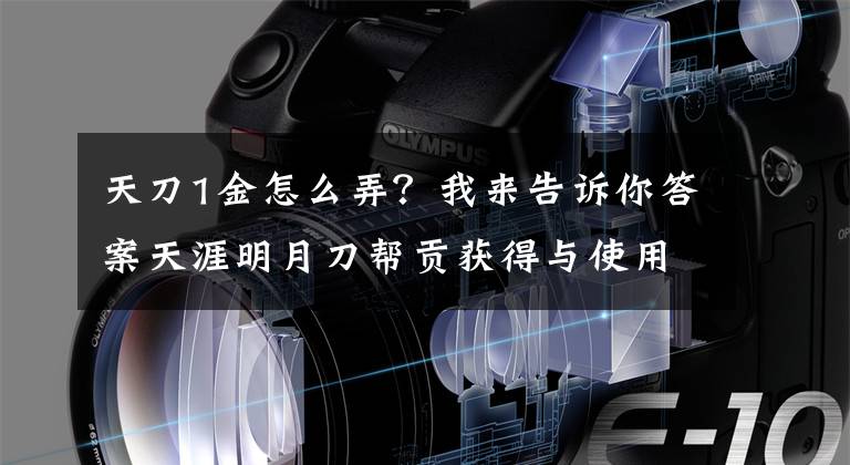 天刀1金怎么弄？我来告诉你答案天涯明月刀帮贡获得与使用教学 获得途径增加